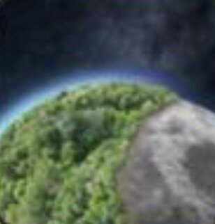 Las plantas y los hongos colonizan la Tierra