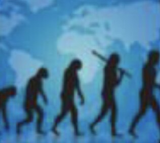 Aparece la teoría sintética de la evolución