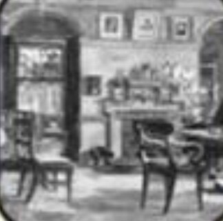 Darwin y Wallace proponen que la selección natural era el mecanicismo básico de creación de nuevas especies