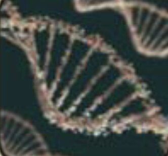 Crick y Watson publicaron su famoso trabajo sobre las estructuras del ADN basado en la investigación de Rosalin Franklin y Maurice Wilkins
