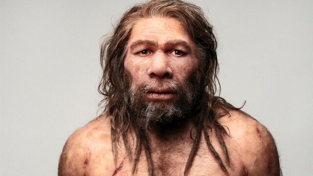 Aparición del Homo neanderthalensis