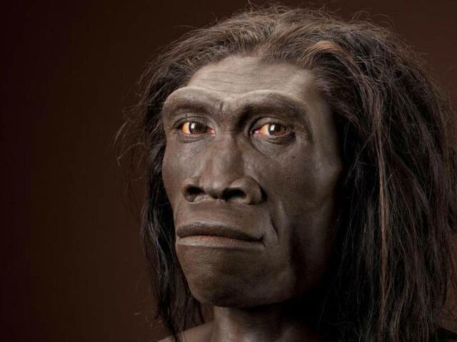 Desaparición del homo erectus