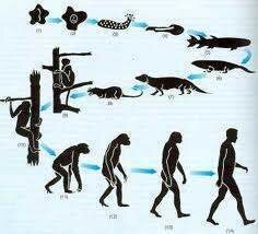 Integración de la teoría de la Evolución de Darwin