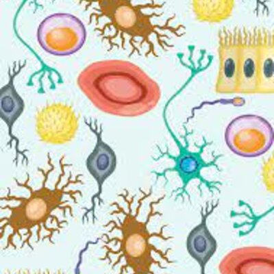 Timeline: Biologia Celular