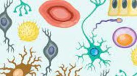Timeline: Biologia Celular