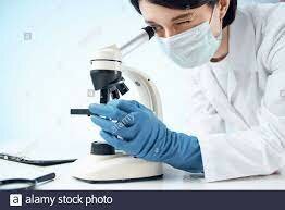 Investigaciones microscópica