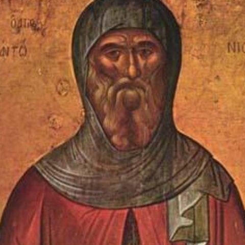 Se reconoce la necesidad de una instrucción intelectual monástica.