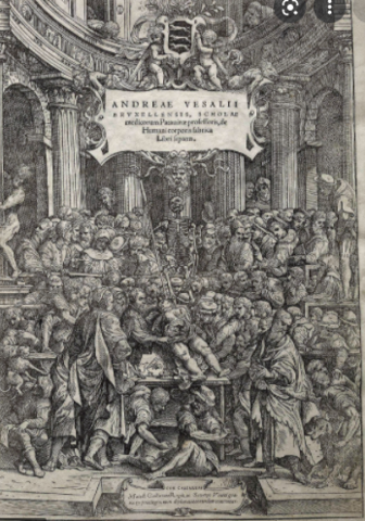 De humani corporis fabrica