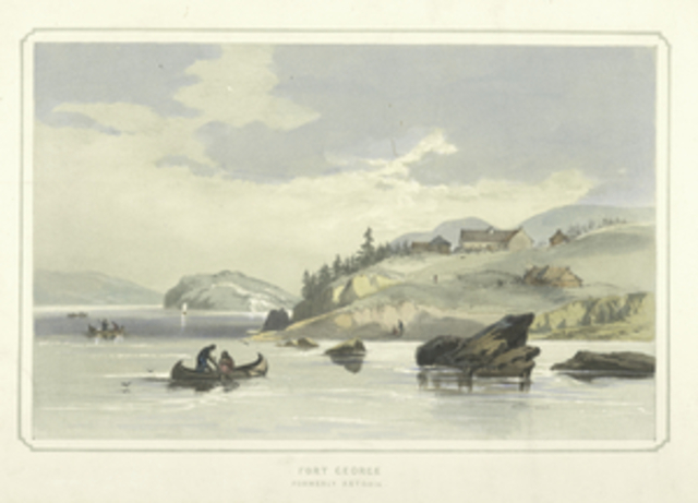 fur domaniting idaho