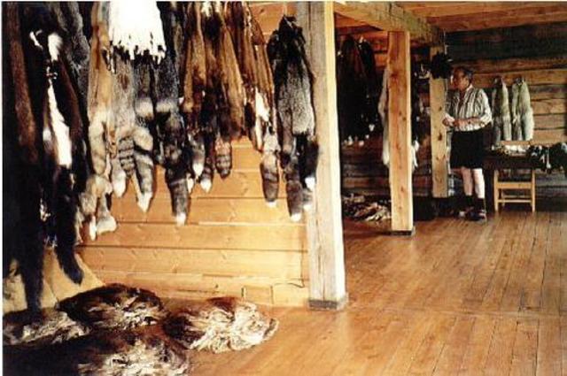 americans try to be succussful