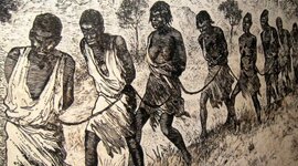 Timeline: Direitos Humanos - De conquista em conquista...