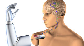 Timeline: Historia de los Biomateriales