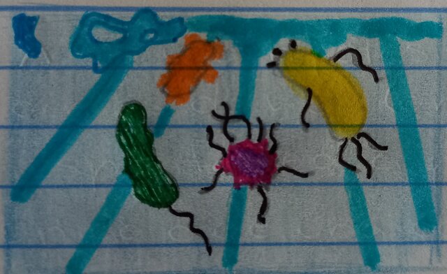 Eón Hádico / Primeros organismos unicelulares