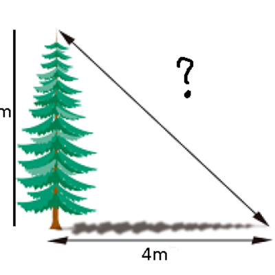 Timeline: Ejemplo para 9°1