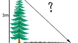 Timeline: Ejemplo para 9°1
