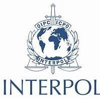 La INTERPOL recomienda a las Naciones Unidas