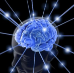 Introducción del término sistemas