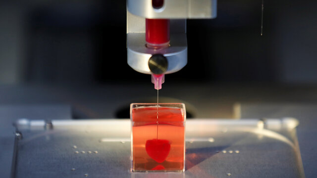 Tejidos impresos en 3D.