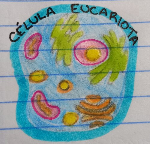 Eón Proterozoico / Células eucariotas