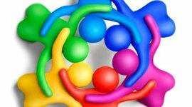 Timeline: Etapas de la Socialización