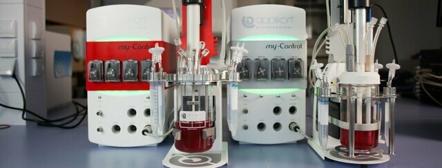 Mini biorreactores para cultivos de células