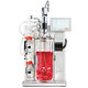 Bioreactor cell culture 555x347