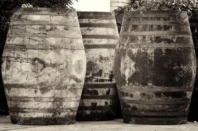 Fermentación de vino en barricas