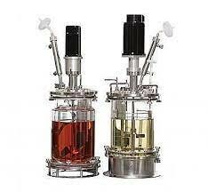 Primer biorreactor de mesa