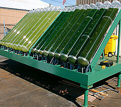 Biorreactor de algas y biocombustibles
