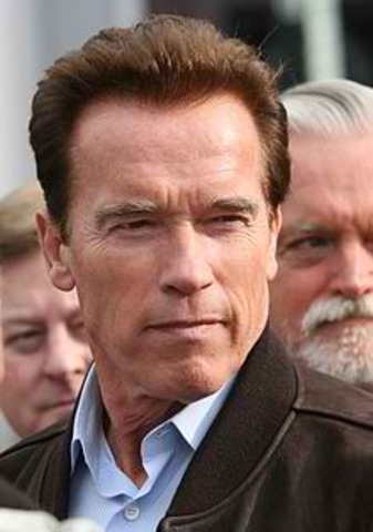 Arnold Schwarzenegger elected