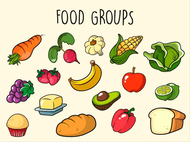 Grupos alimenticios