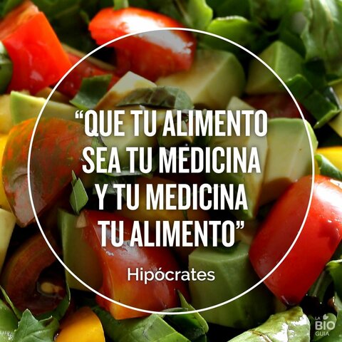 Hipócrates