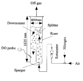 PRIMER FERMENTADOR INDUSTRIAL
