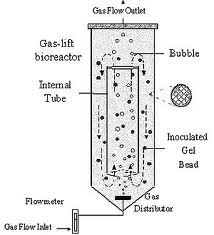 Biorreactor  "air lift”