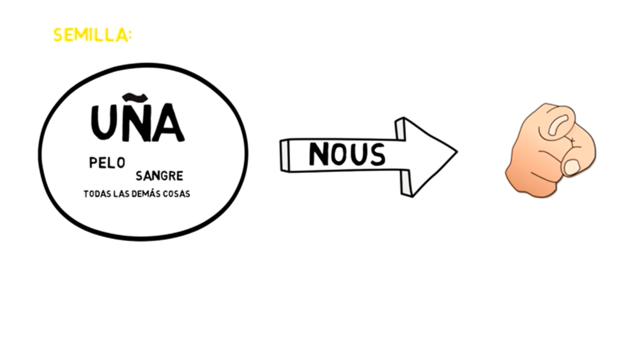 Aportaciones Anaxágoras