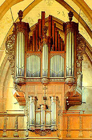 Organ