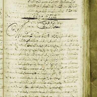 Decrets of New Plant