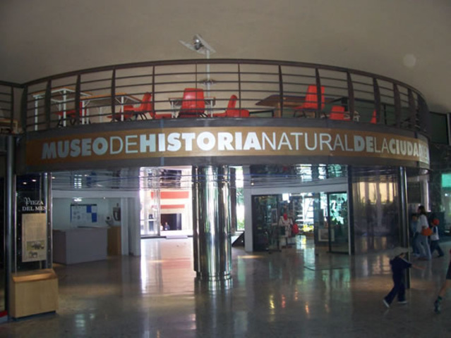 Dioramas Biologicos del Museo de Historia Natural de Berna