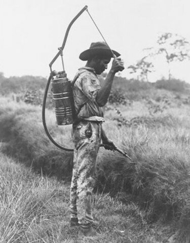 the deaseses are back