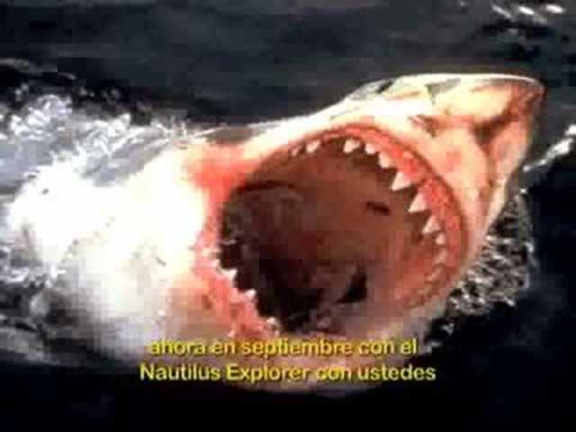 Conferencia Asesinos seriales