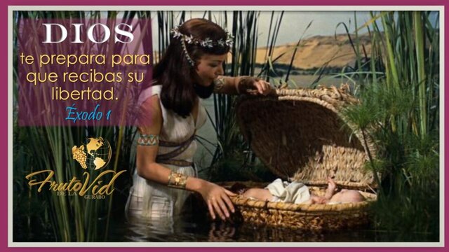 MOVIMIENTO A EGIPTO (EX 1)