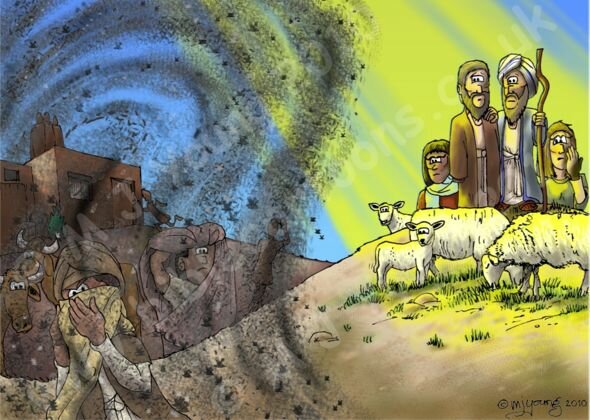 PLAGAS 2,3,4,5,6,7 (EX 8-9)