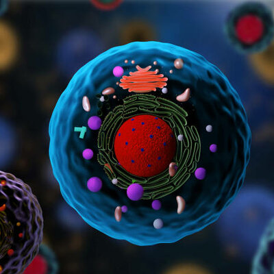 Timeline: Padres de la Teoría Celular - 04/03/2022 - Elías Fernández Morales - 3°Medio