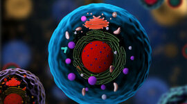 Timeline: Padres de la Teoría Celular - 04/03/2022 - Elías Fernández Morales - 3°Medio