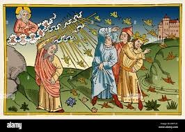 PLAGAS 8,9 Y SE ANUNCIA LA DÉCIMA (EX 10-11)