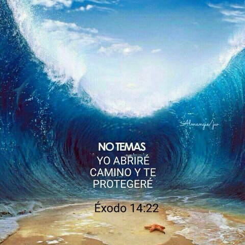 ISRAEL LLEGA AL MAR (EX 14)