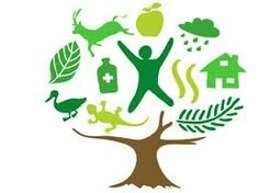 Ley 99 de 1993 creación del Ministerio del Medio Ambiente, conocido actualmente como el Ministerio de Medio Ambiente y Desarrollo Sostenible.