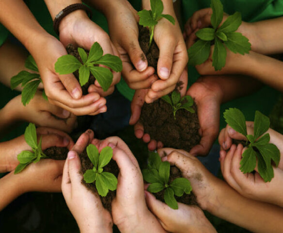 Decreto 1743 de 1994, (PRAE) Proyecto Escolar de Educación Ambiental  en los colegios.