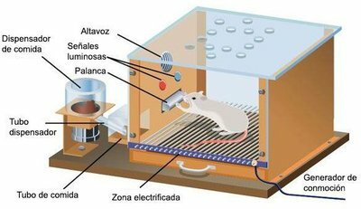 Psicología del aprendizaje, enseñanza programada