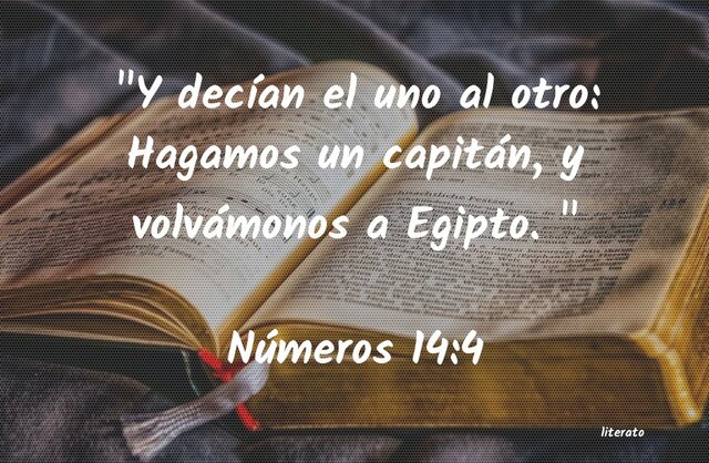 EL PUEBLO QUIERE REGRESAR A EGIPTO (NUM 14)